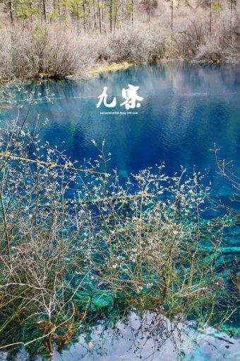 【2024甘肃两会前瞻】代表履职故事丨马银萍：致富路上书写责任担当